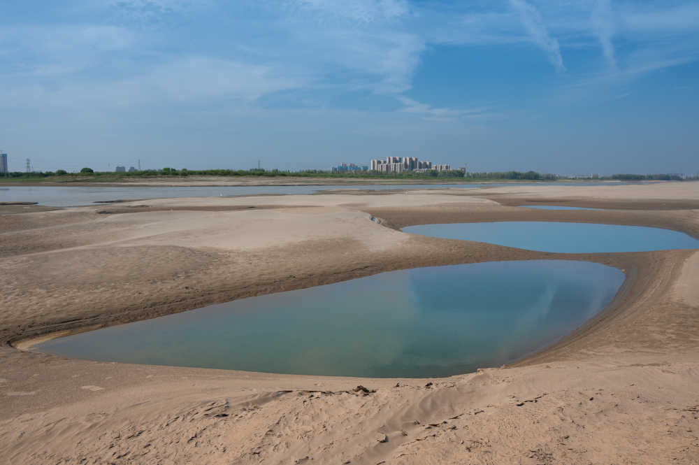 武汉天兴洲湿地