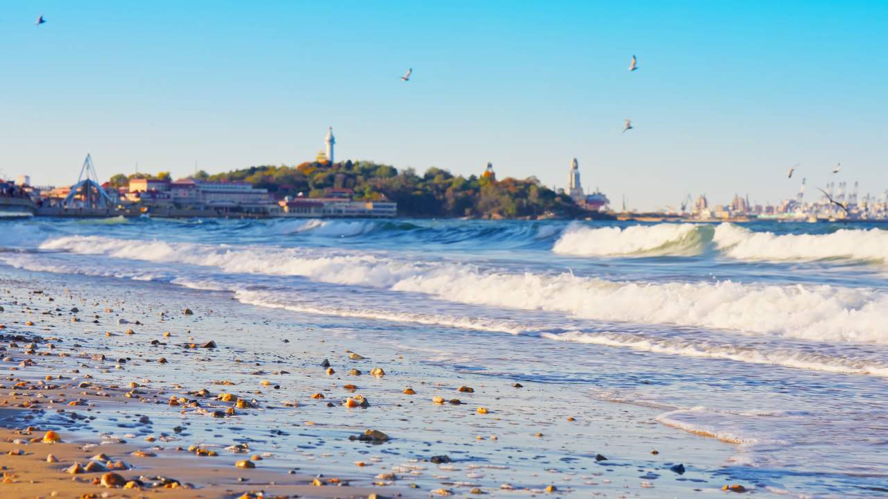 海滨日暮：海浪与飞鸟的交响