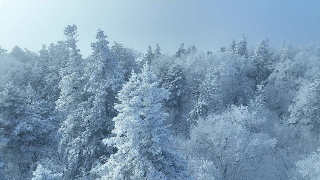 滑雪