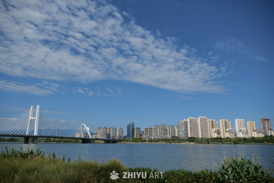 芦苇荡 21