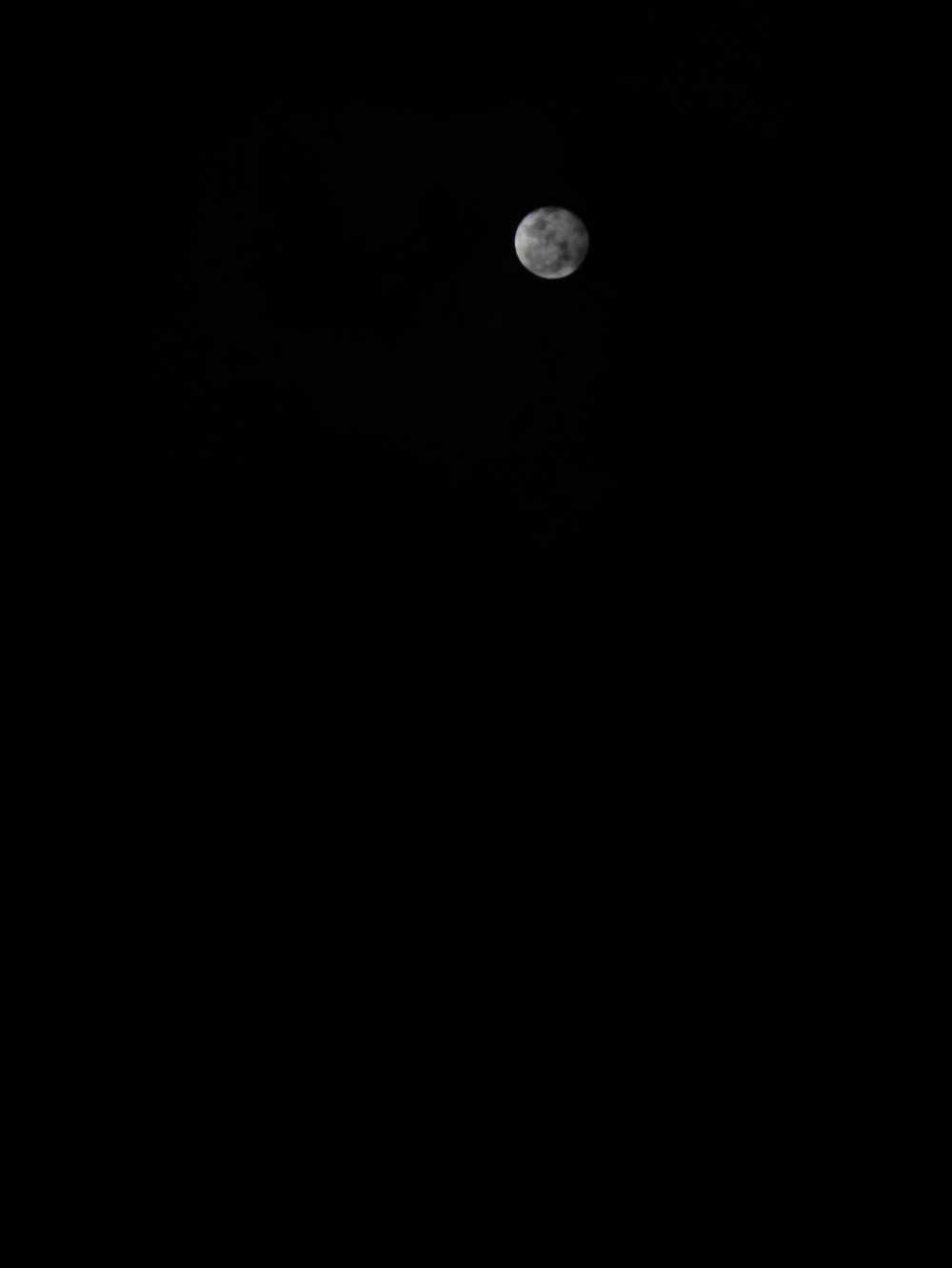 月🌙
