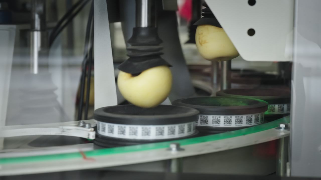 苹果自动贴标生产线