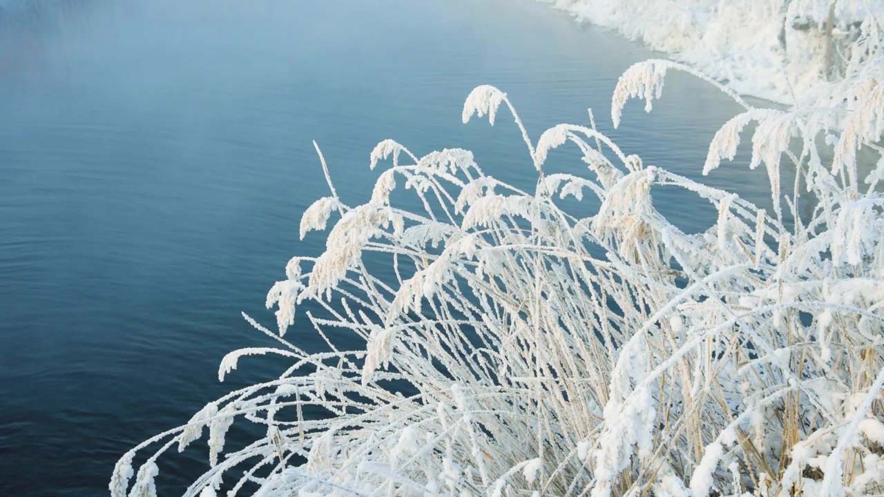 冬日湖畔雪景