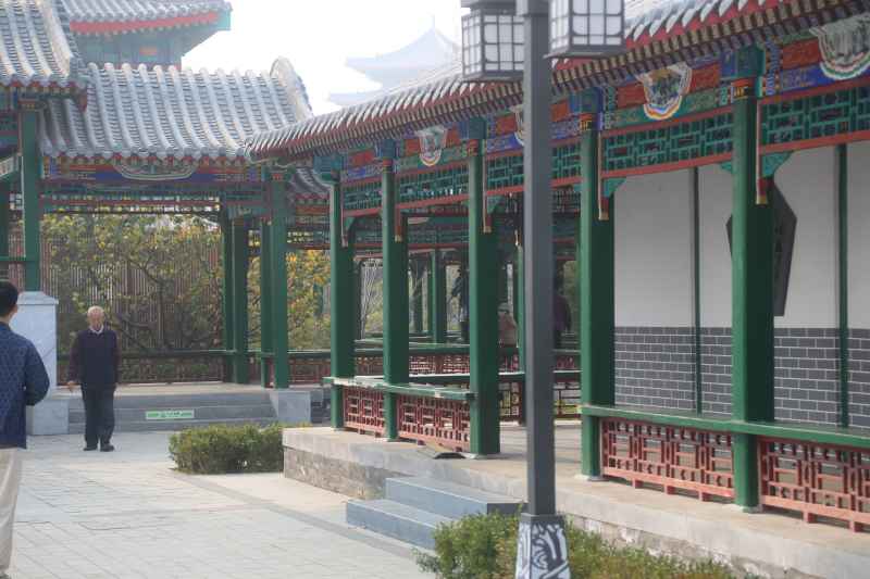 沧州扫街 5