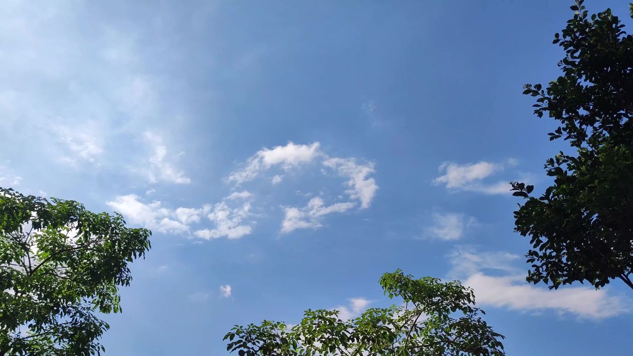4K绿树蓝天白云左摇2