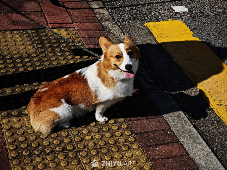 香港街拍