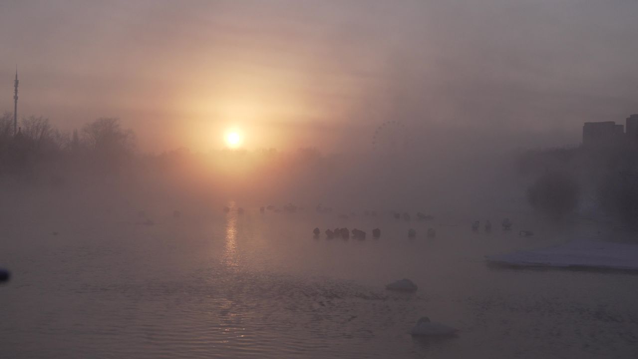 天鹅湖清晨晨雾日出 2