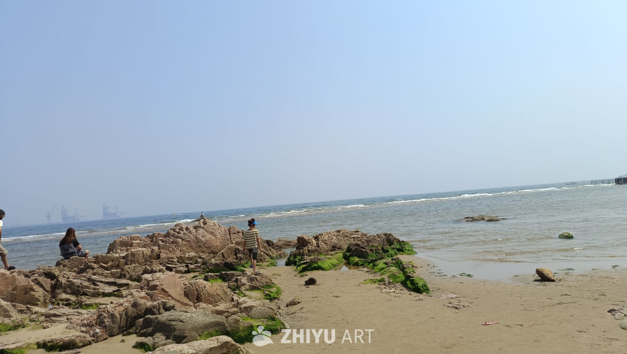 海边岩石上的悠闲时光