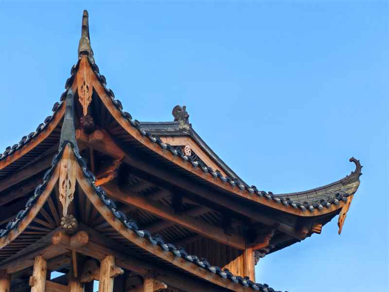 随拍 6