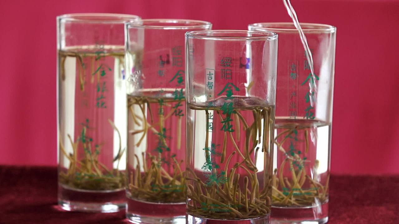 金银花茶中药材养生茶