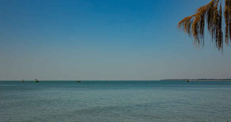 海洋