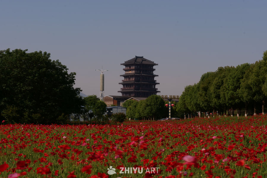 古楼 17
