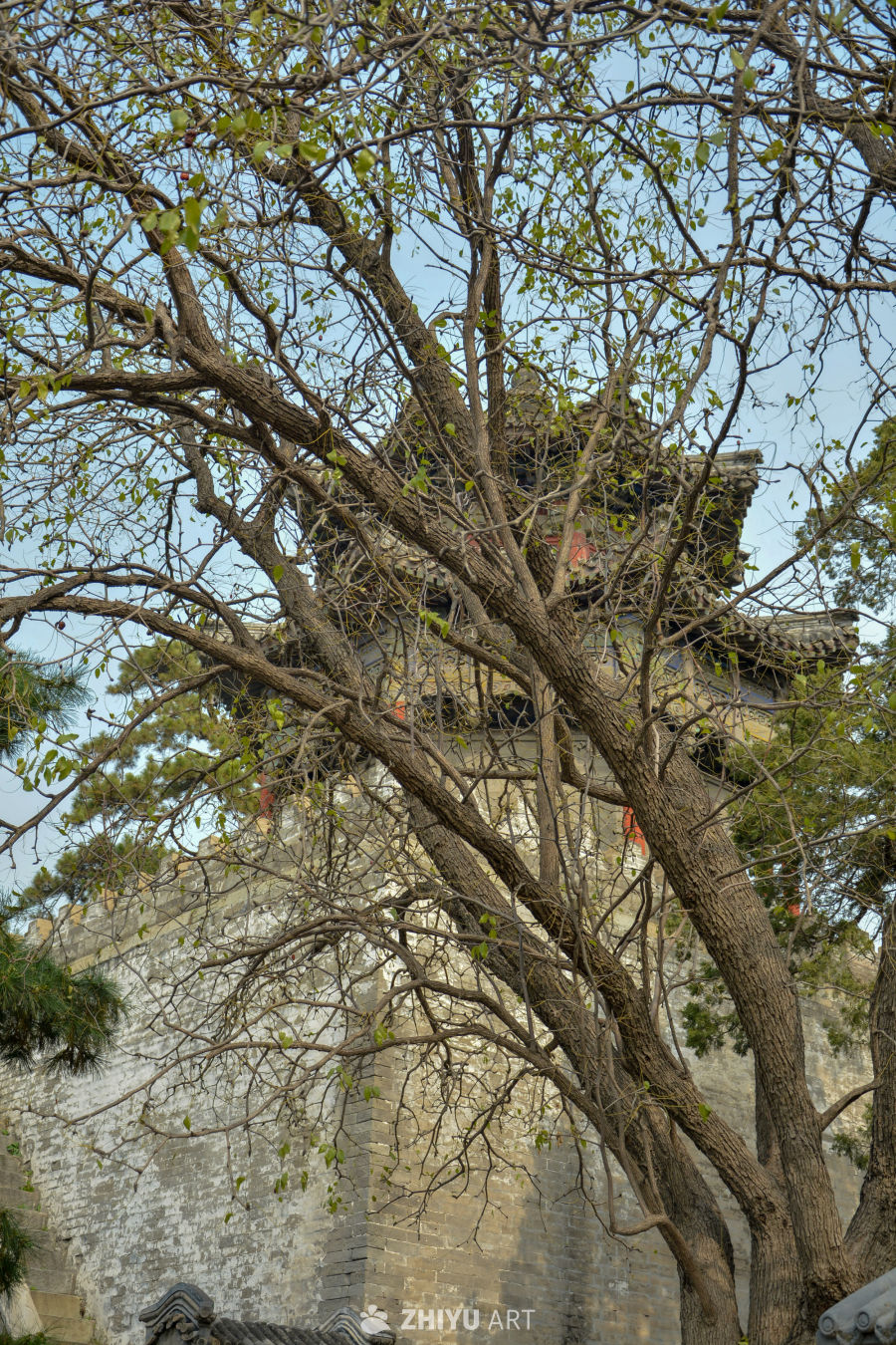北京颐和园古建筑