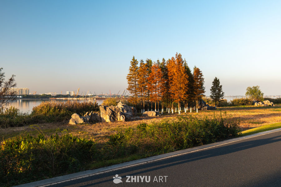 湖畔秋景：静谧与城市的对话
