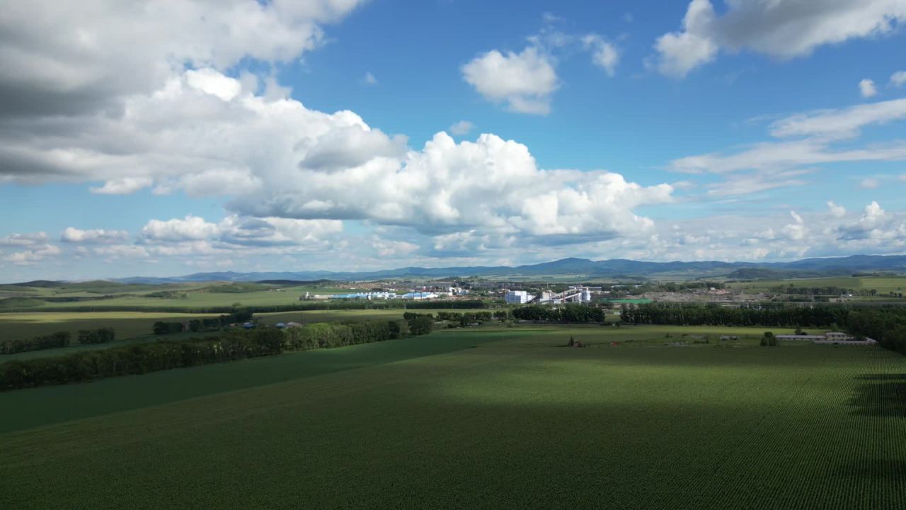 lv_0_20250812015354 7