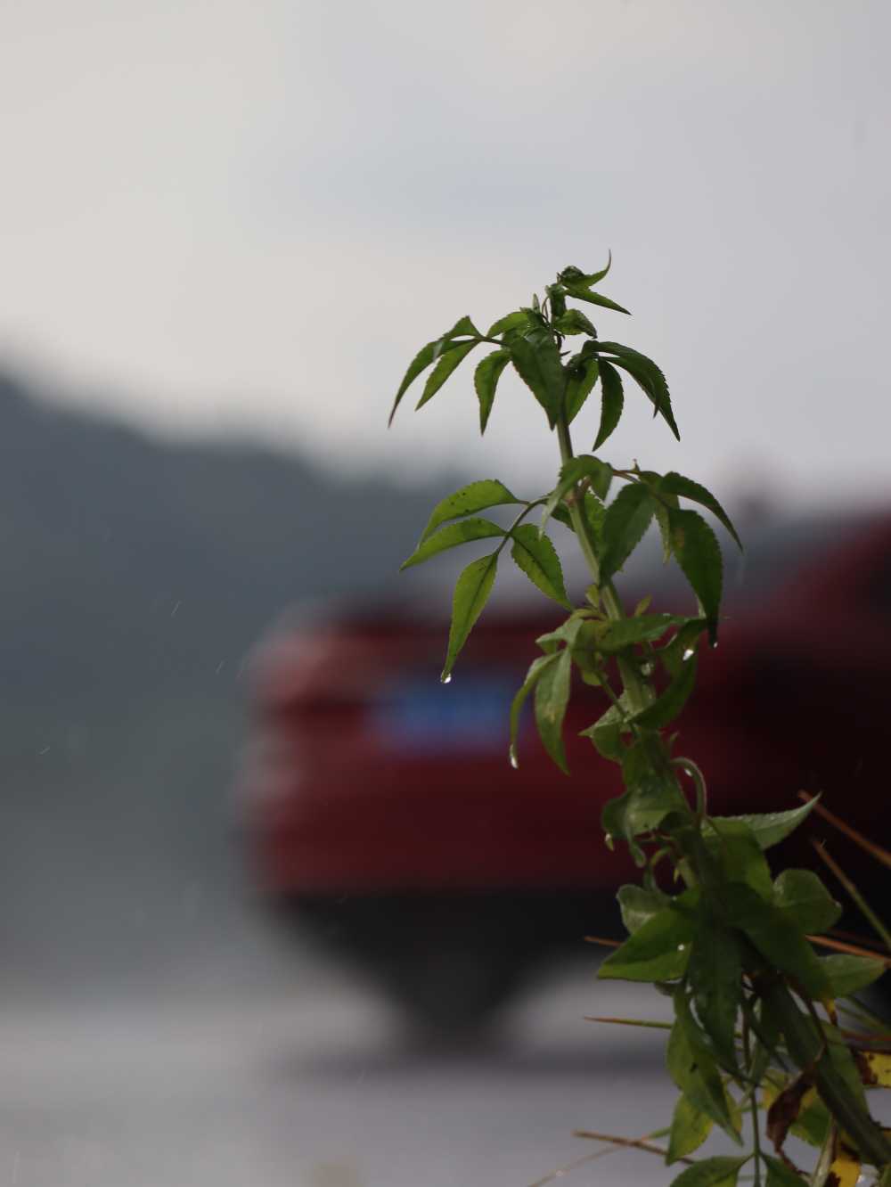 恍惚
