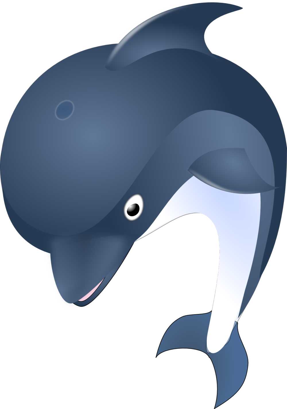 海豚海洋动物哺乳动物海水鱼游泳野生动物热带水下大西洋跳水