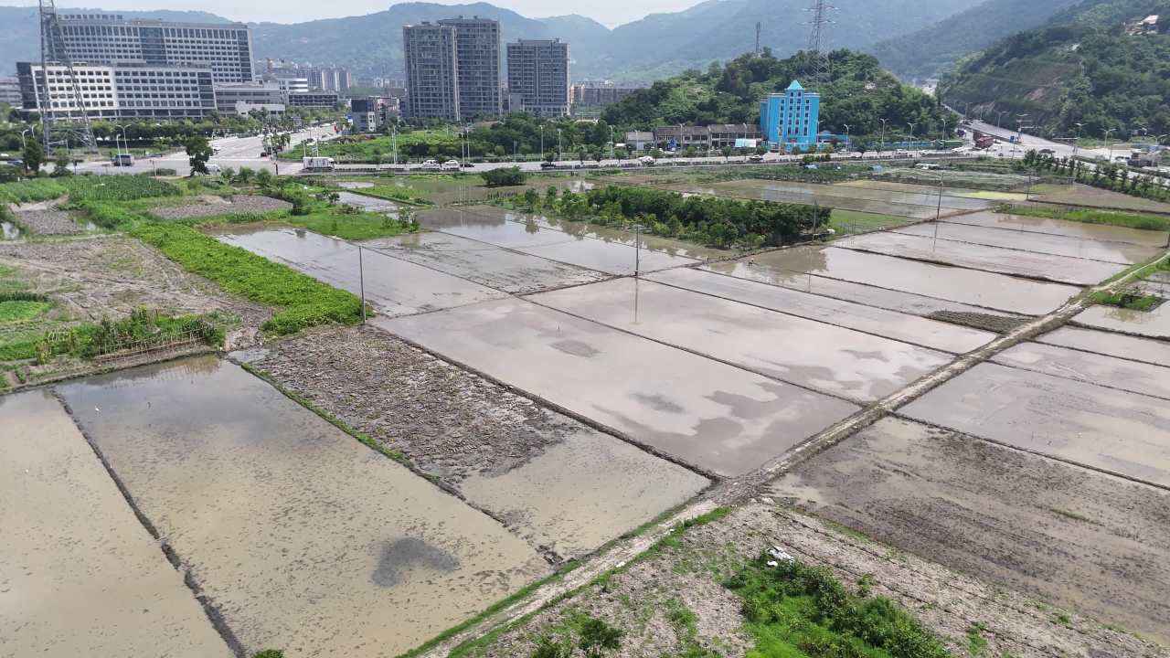 城市边缘的湿地与农田