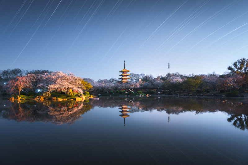 东湖樱园