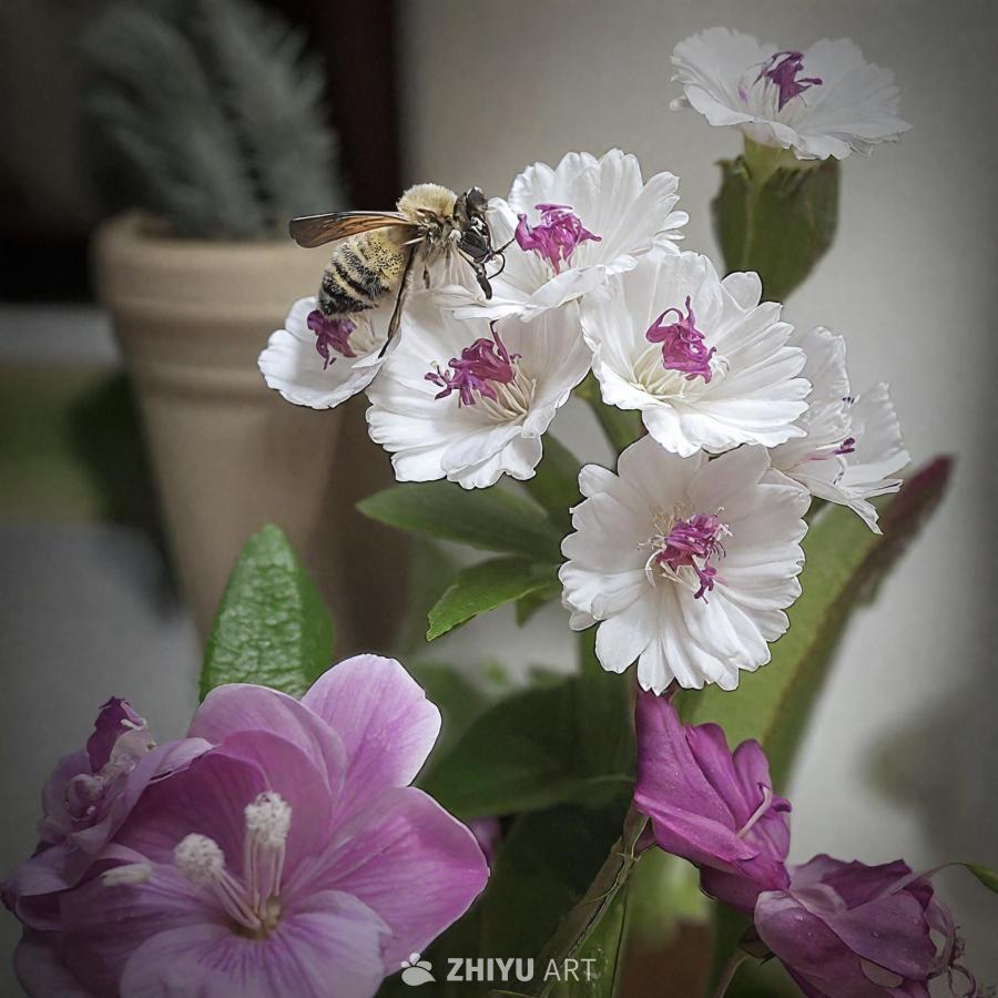 白色和紫色的花朵被插在花瓶或花盆里，花朵盛开，花瓣