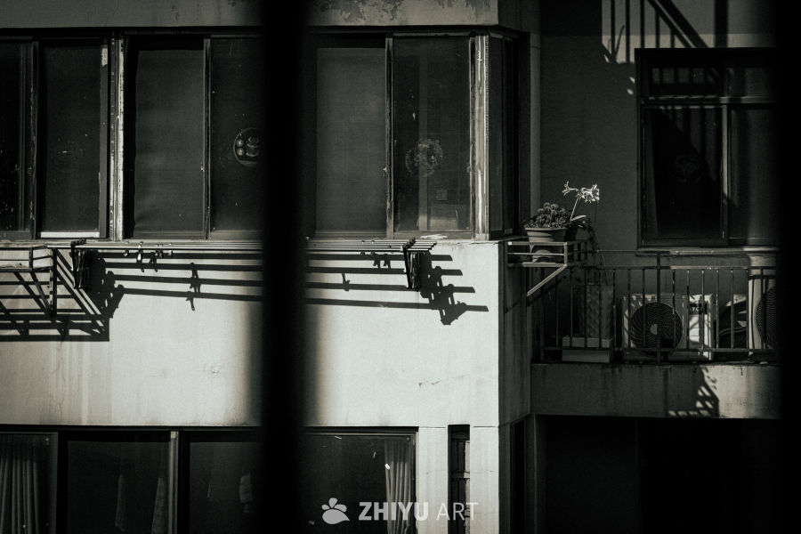 光影中的生活角落