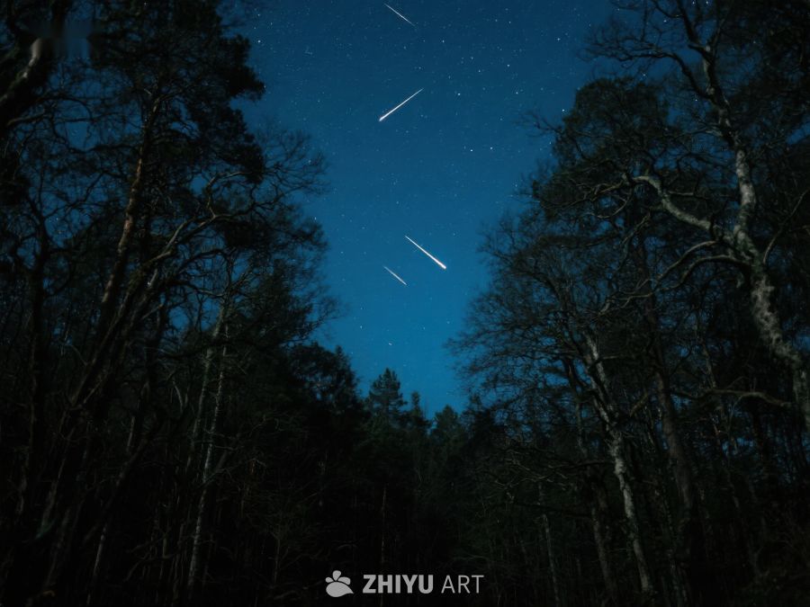 夜空流星划过森林 271