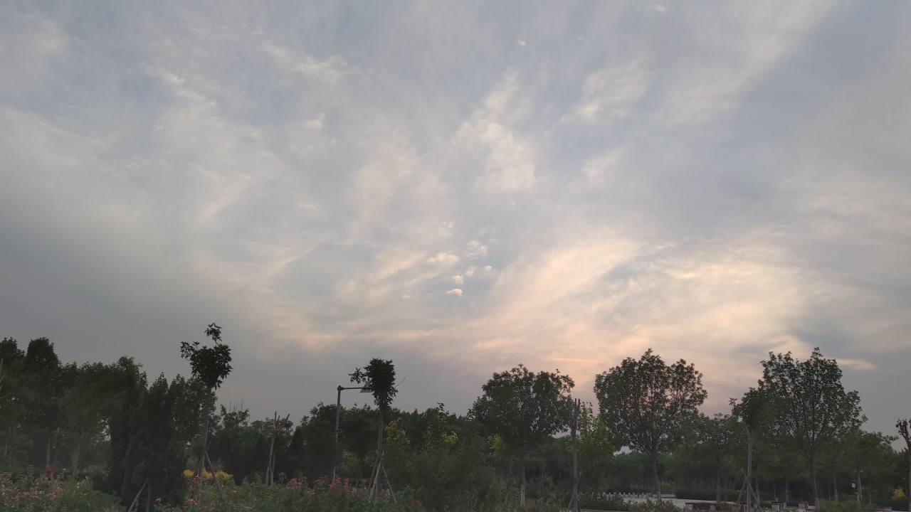 湿地 24