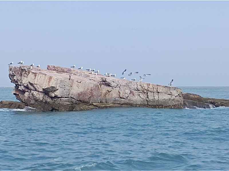 大海
