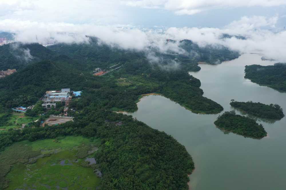 深圳东湖航拍