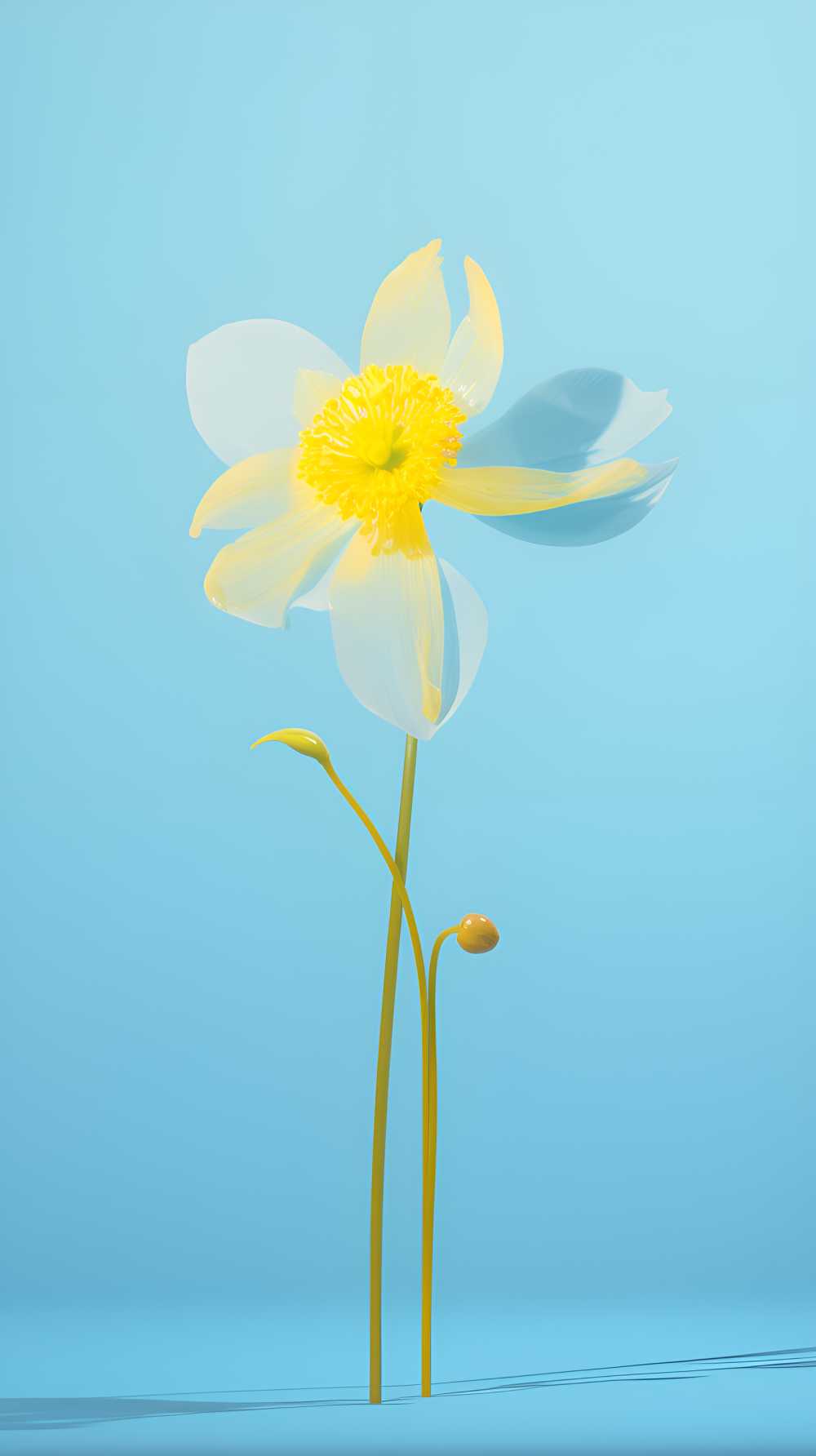 一朵黄色的花蓝天背景1