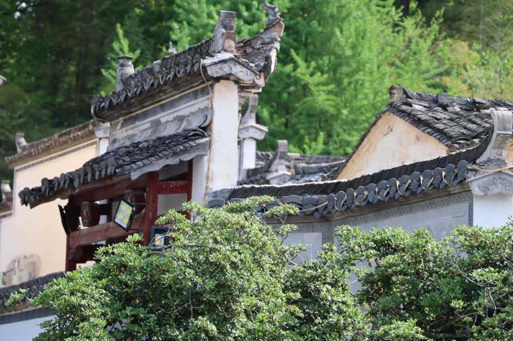 宏村绿意之中的徽派建筑