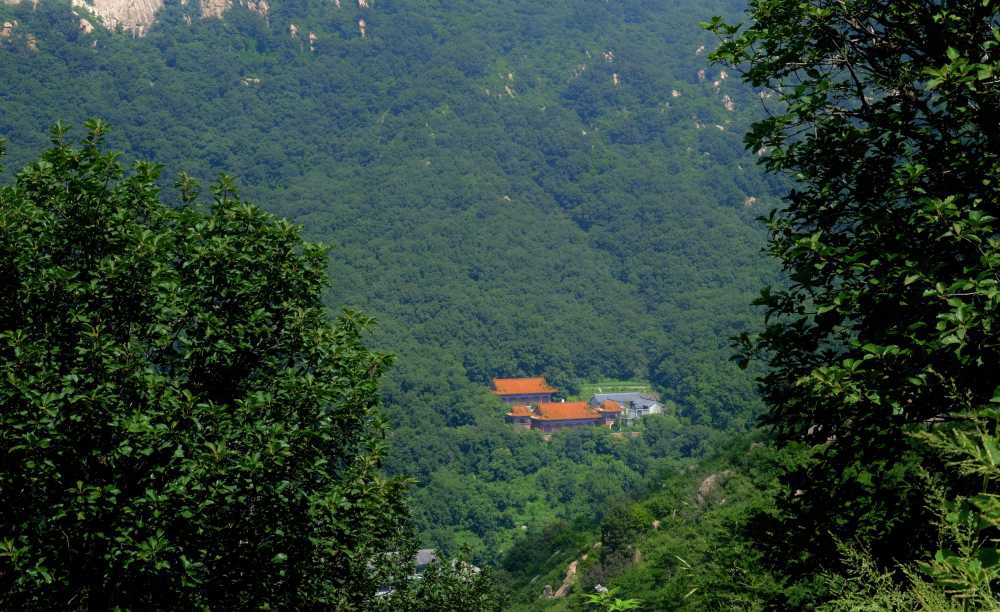 寺