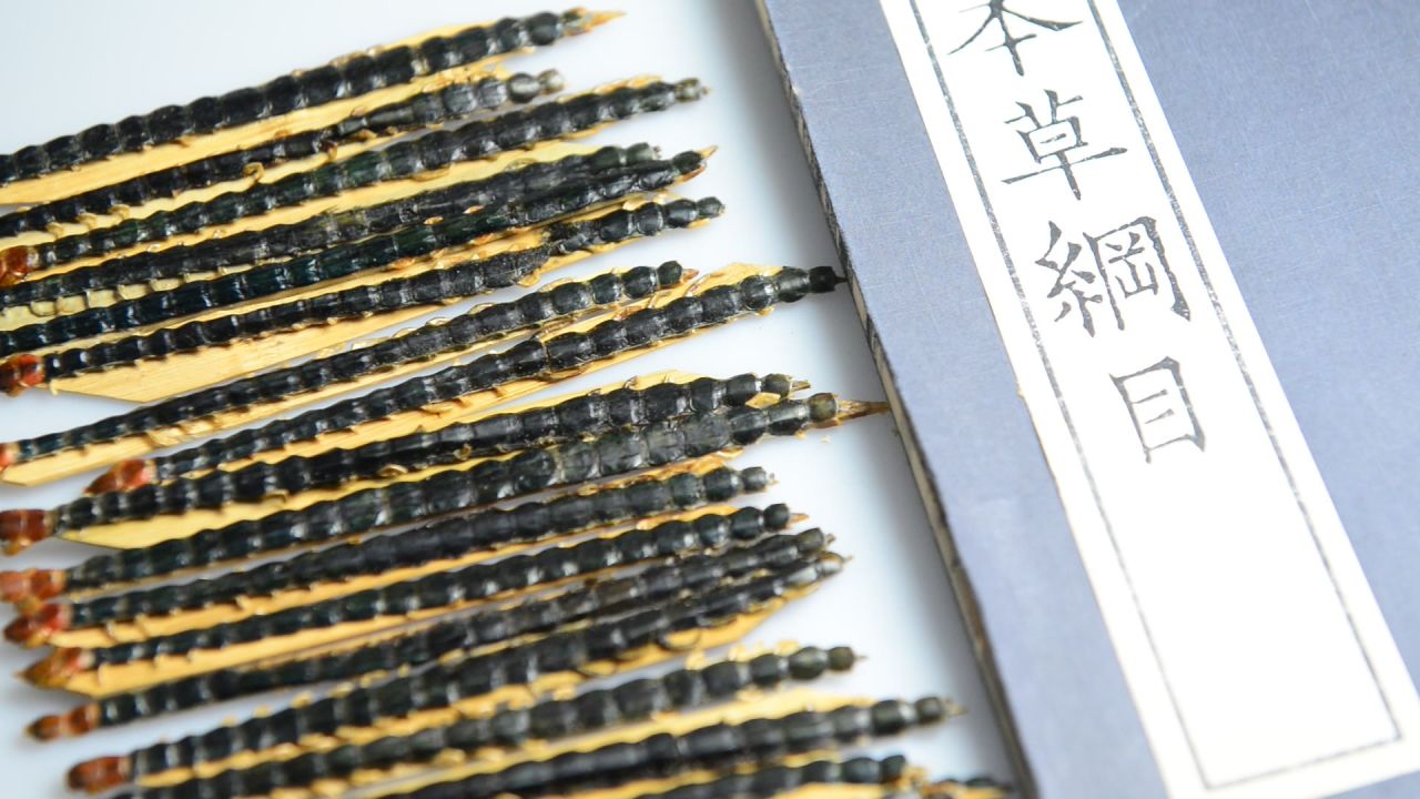 蜈蚣中药材 73