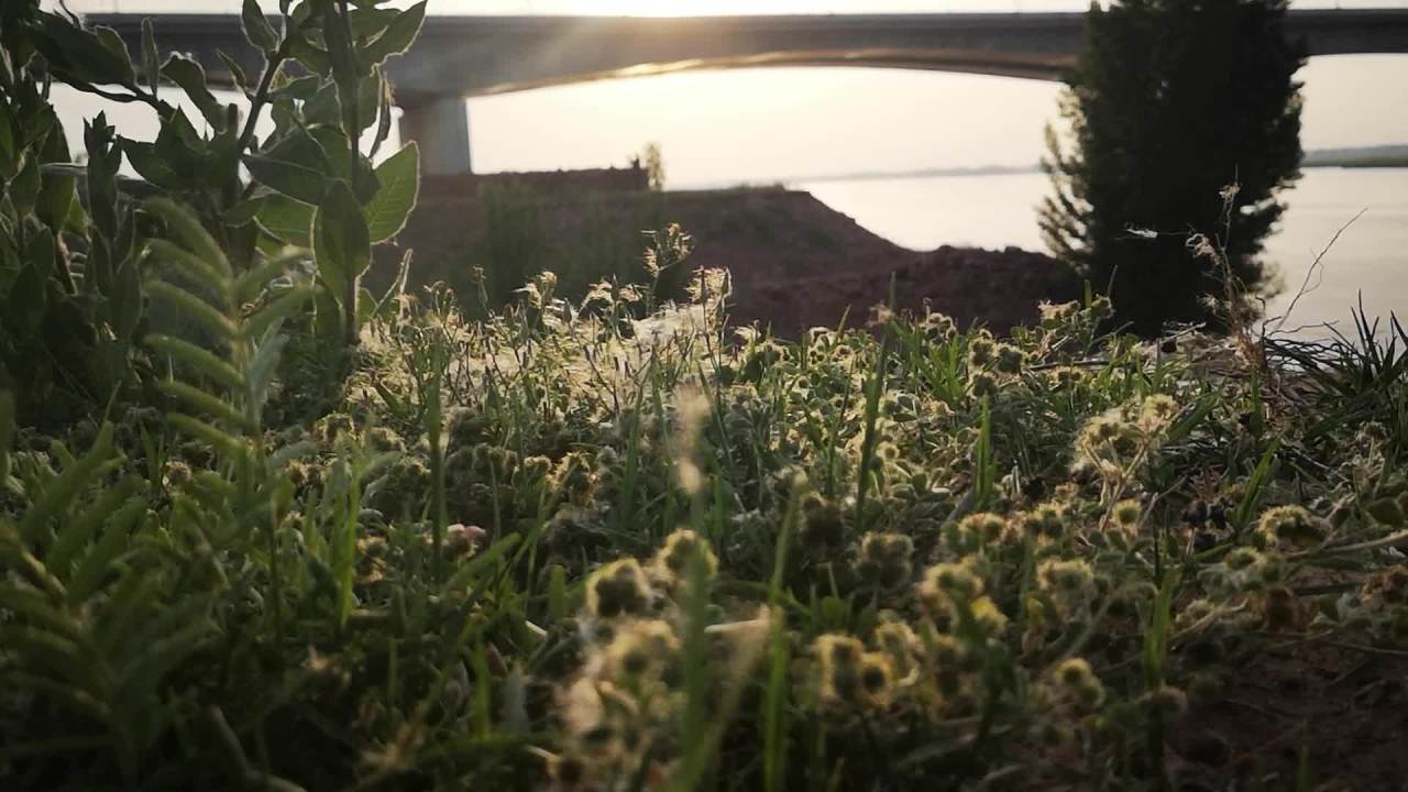 河畔夕阳