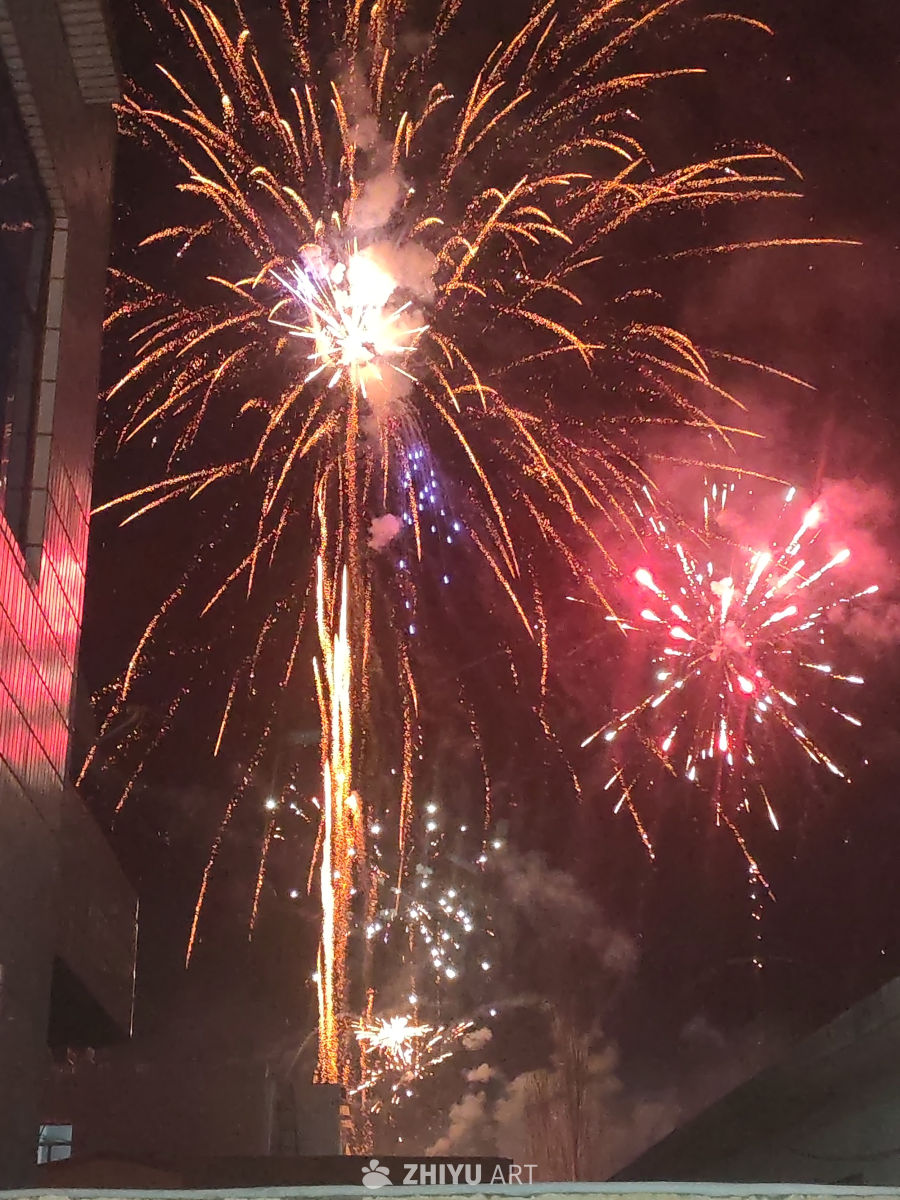 夜空中的绚丽烟花