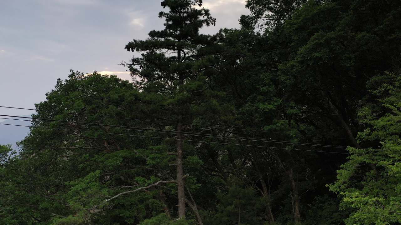山间光影