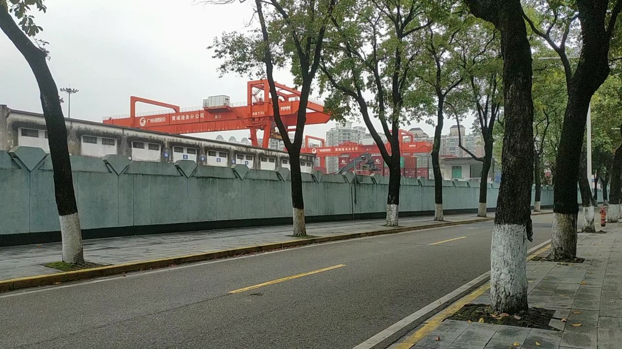港前路小景