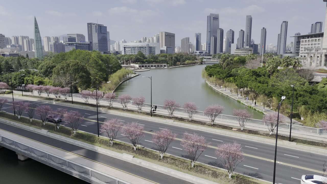城市河畔的春天