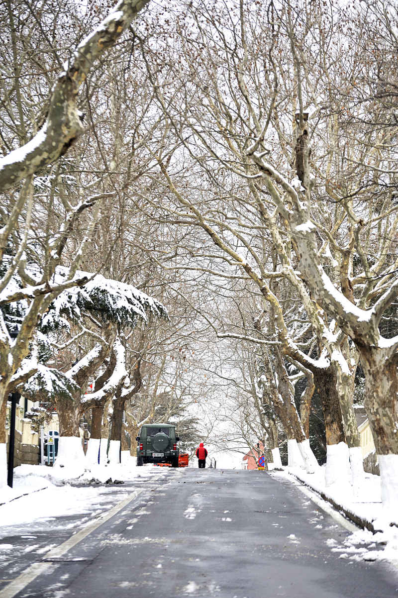 雪后八大关