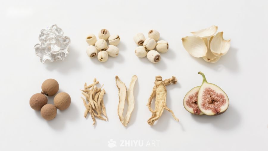 多种中药材的展示