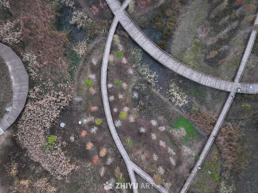 秋日湿地栈道