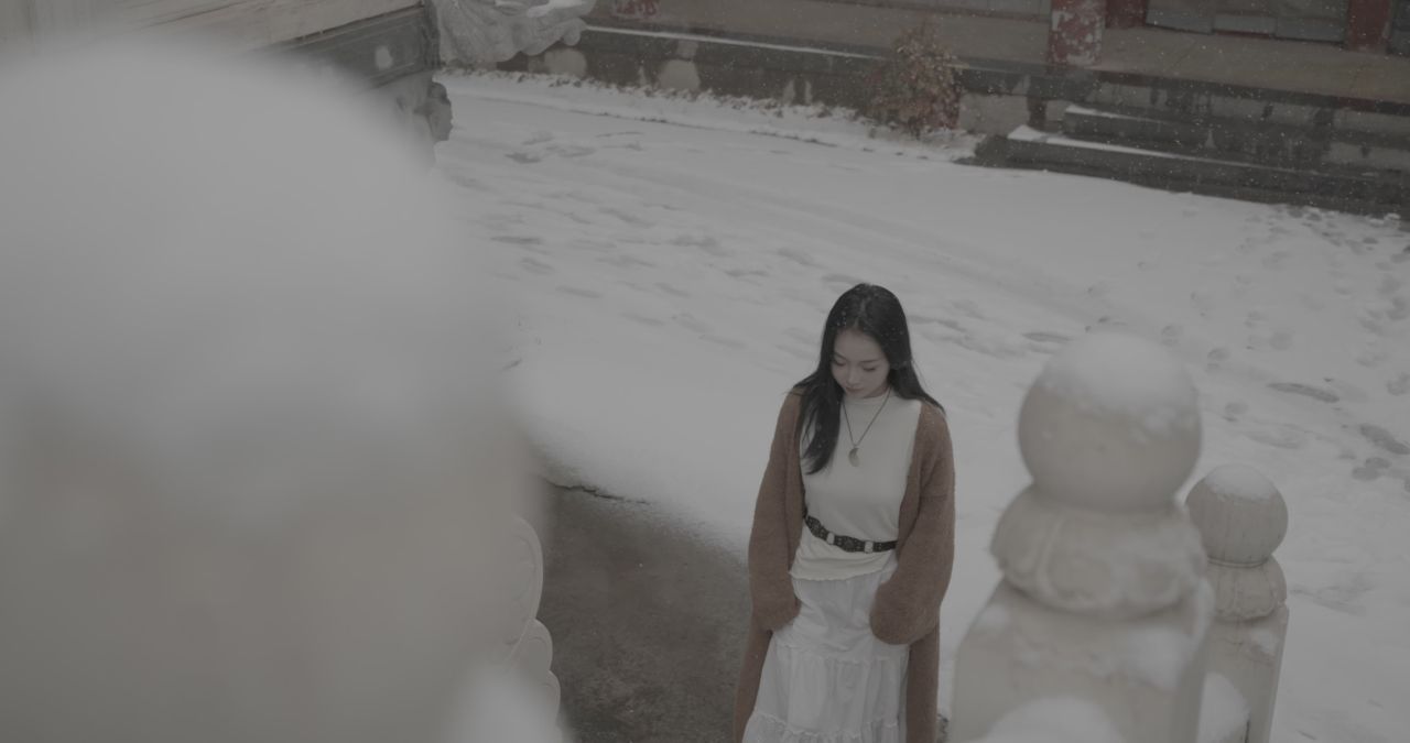 A_0003C329H251212_1607205L_CANON