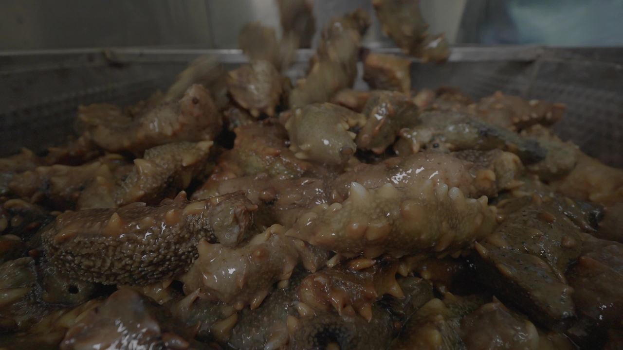 海参加工流水线作业