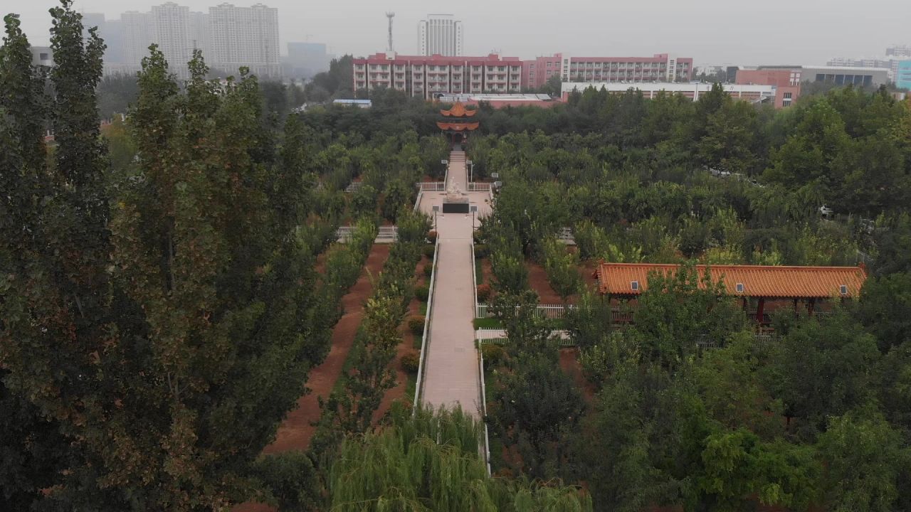 庭院