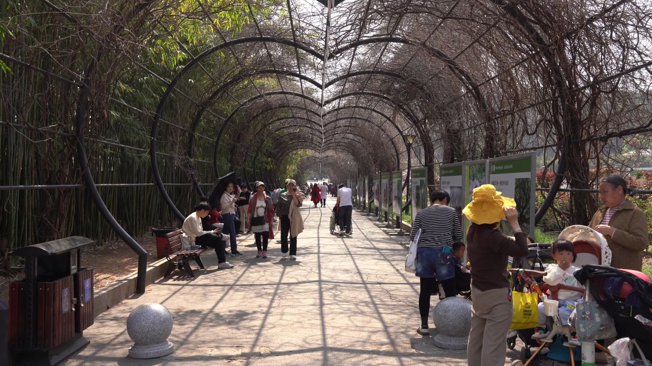 植物园 1
