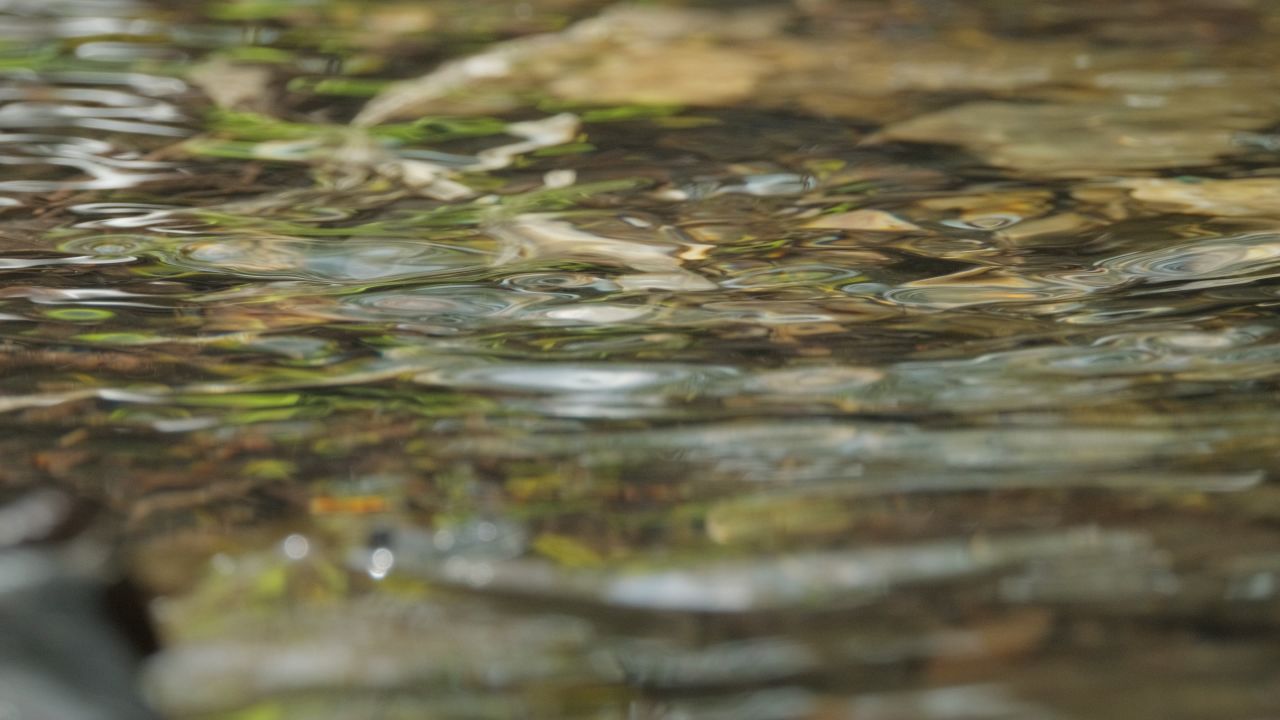 清澈山泉水温泉矿泉水小溪山涧 45