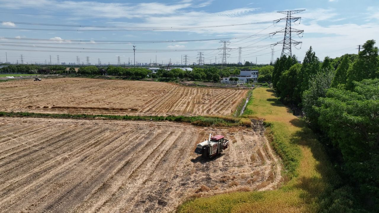 4K航拍昆山农业夏收 47