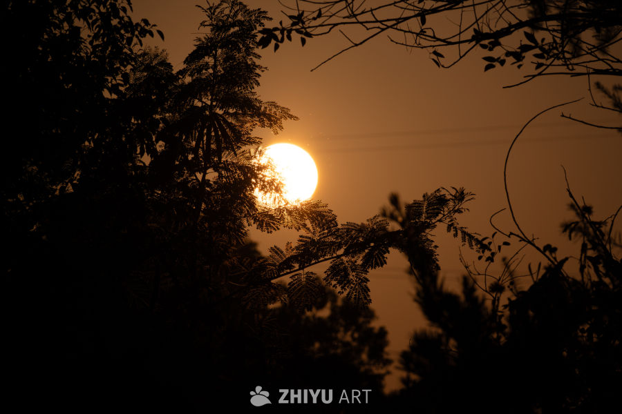 夕阳