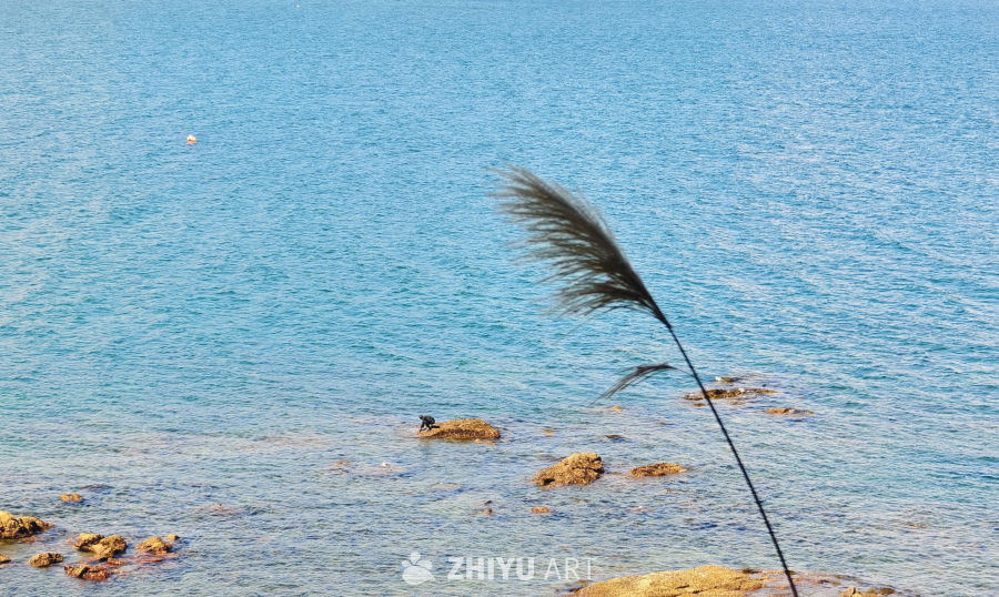 海风轻拂的岩石海岸