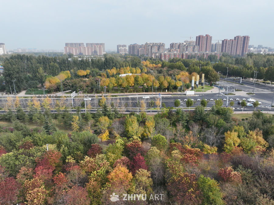 秋日的城市绿洲